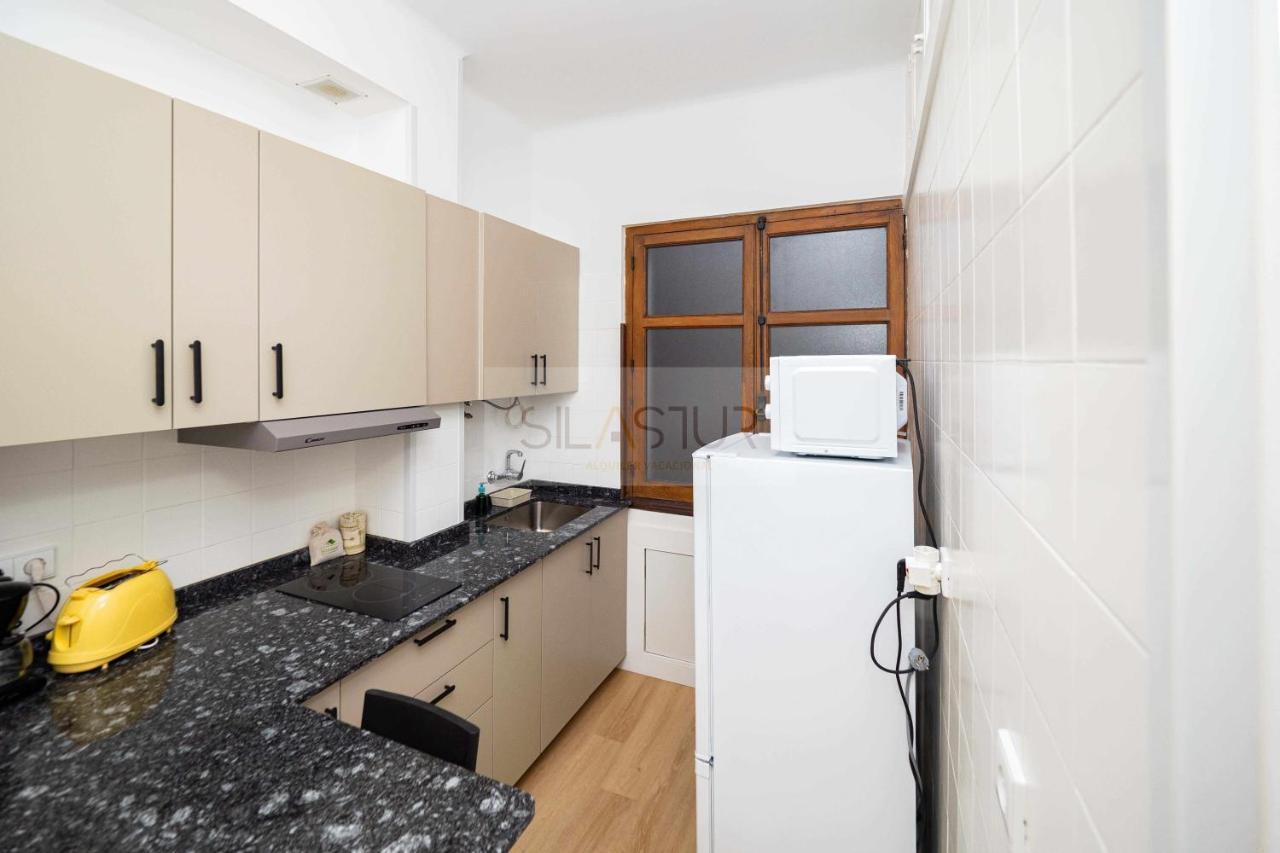 Apartment Asturches *